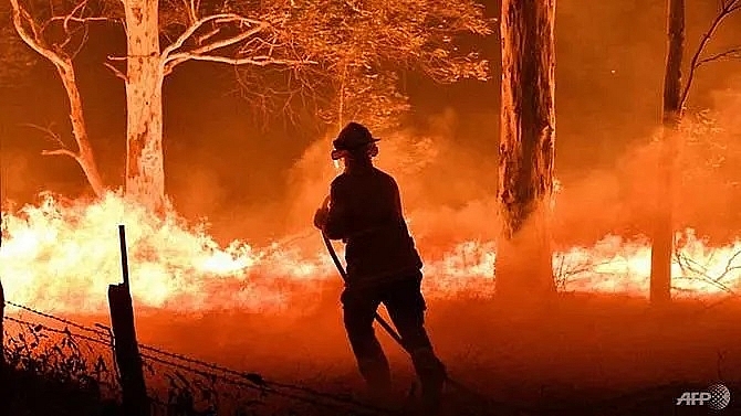 thousands flee fires in australia navy helps evacuate the stranded