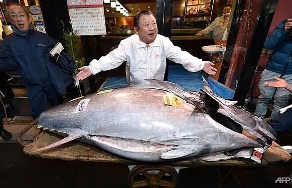 japan tuna king buys new year catch for us 18 million