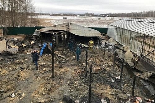 vietnamese embassy identifies moscow farm fire victims