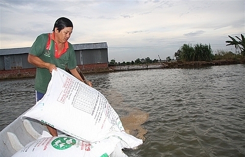 VN cracks down on use of banned substance in fish food