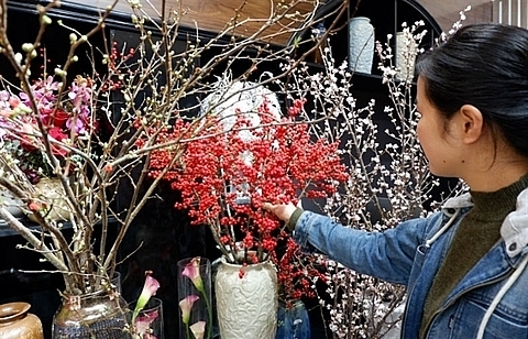 Expensive imported flowers a hot item for Tet