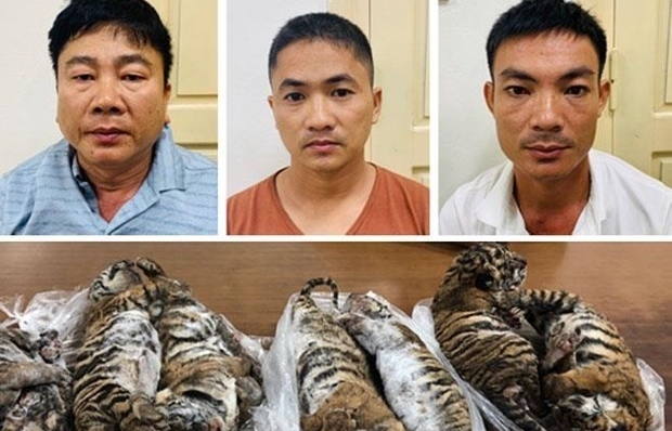 Man receives six-year jail term for transnational wildlife trading