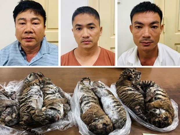 man receives six year jail term for transnational wildlife trading