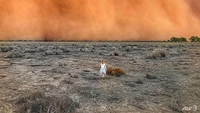 dust storms and giant hail batter bushfire weary australia