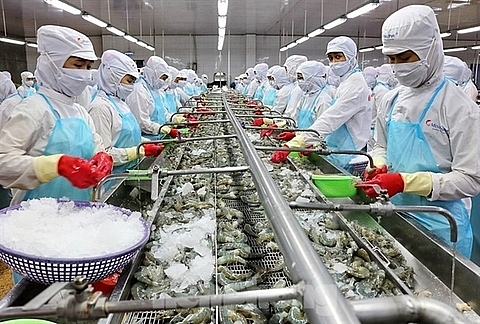 minh phu seafood shares fall on investigation of tax evasion