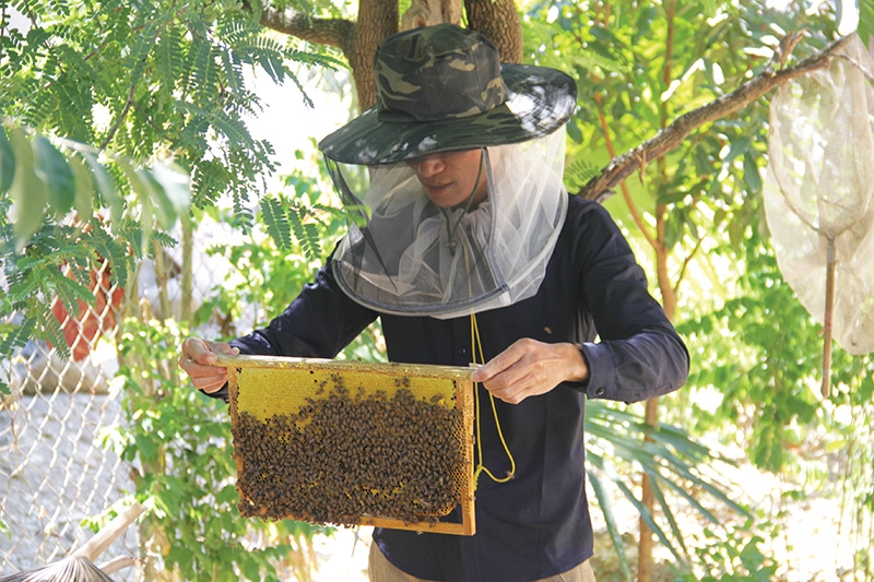beekeepers buzzing with initiatives enhancements
