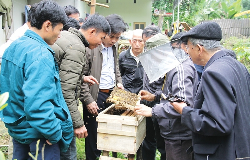 Beekeepers buzzing with initiative’s enhancements