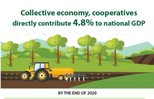 Collective economy, cooperatives directly contribute 4.8pct to national GDP (Infographics)