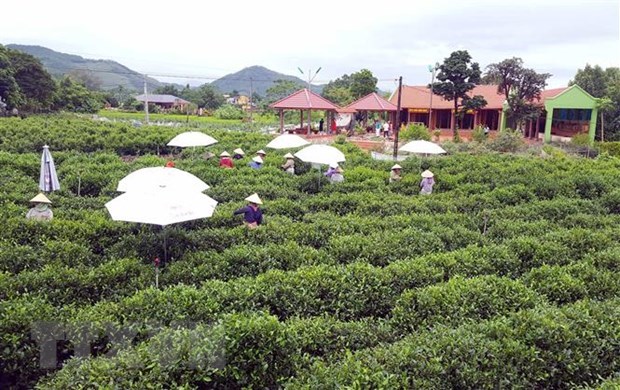 thai nguyen hi tech agricultural zone set up