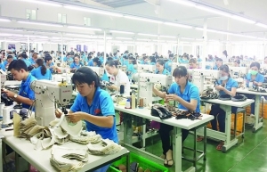 value sharing and opportunities for vietnamese suppliers in global value chain