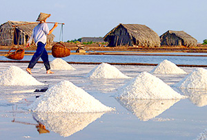 Agriculture ministry seeks to assist salt sector