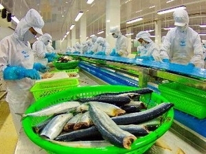 US remains Vietnam’s top seafood export market