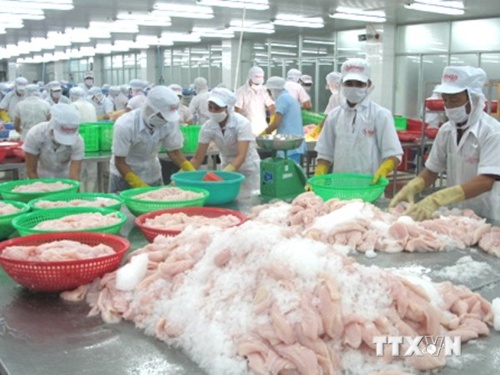 tien giang province earns 245 million from exports