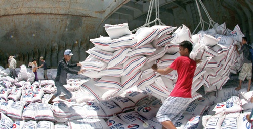 mekong delta authorities instructed to stockpile rice