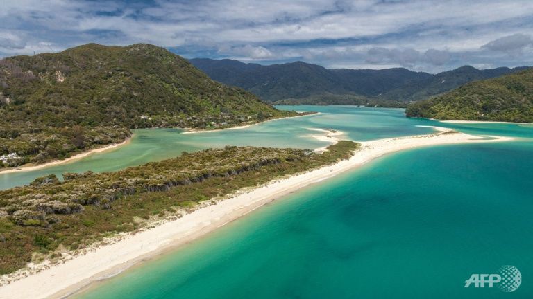 new zealand crowdfunding campaign saves remote beach