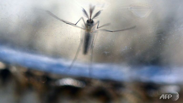 first sexually transmitted case of zika detected in france