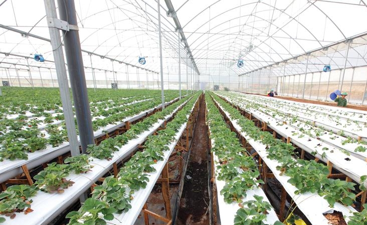 investors fuel hi tech agricultural revolution