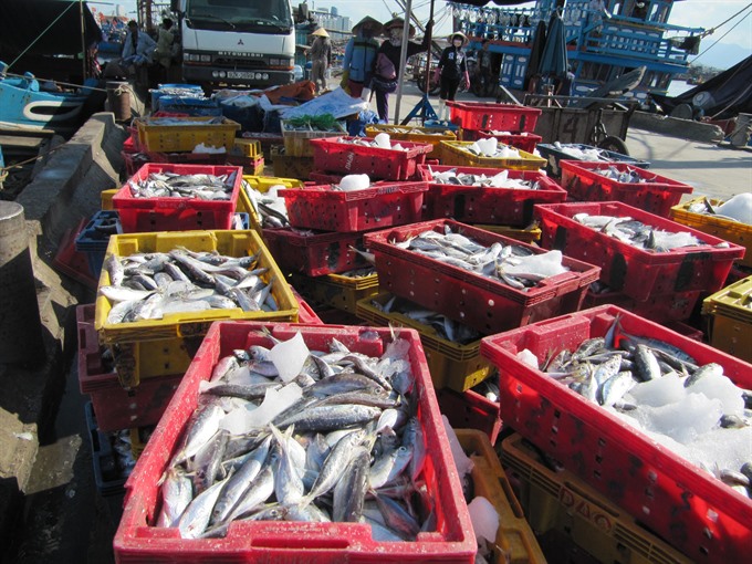 da nang japan to co operate in seafood production sewage treatment