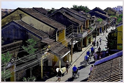 vietnam cities plan for urban green growth
