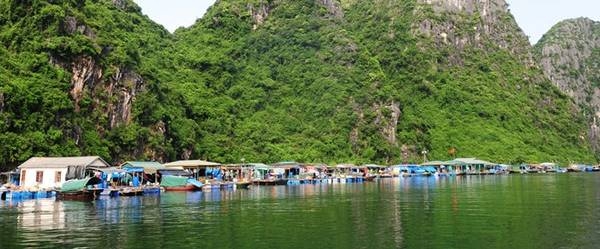 cua van fishing village an attractive destination in ha long bay