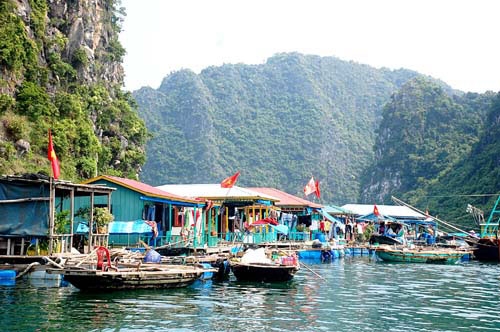 cua van fishing village an attractive destination in ha long bay