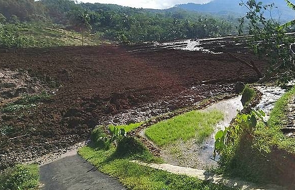 Five dead, 15 missing in Indonesia landslide