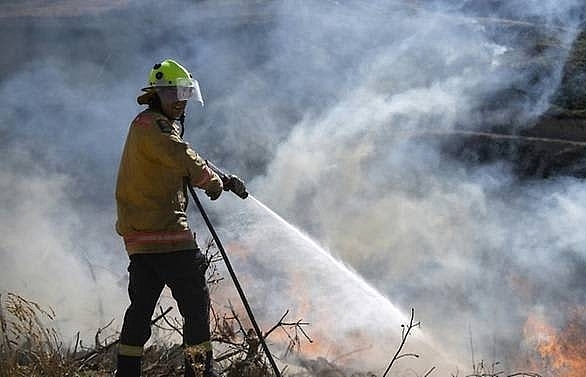 New Zealand wildfire expected to burn for weeks