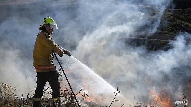 new zealand wildfire expected to burn for weeks