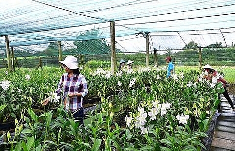 City to invest in agriculture products