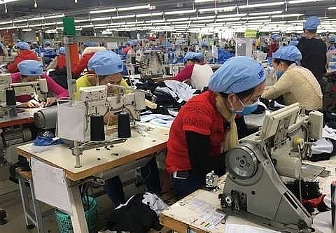 garment and fishery firms plan production growth this year
