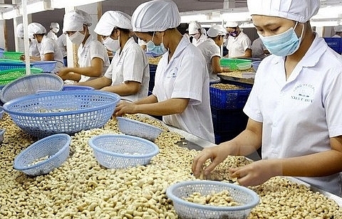 vn aims to become global agriculture powerhouse