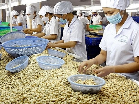 vn aims to become global agriculture powerhouse