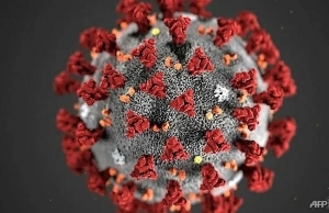 hue central hospital prepares to fight coronavirus epidemic