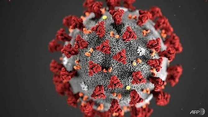 the novel coronavirus could get an official name in days report