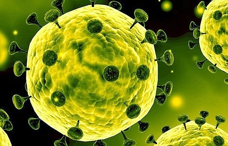 WHO issues appeal for US$675 million to fight novel coronavirus