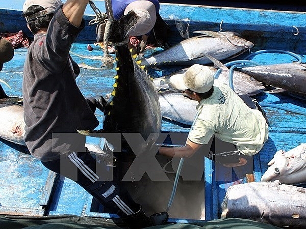tuna exports expand 10 percent in 2019