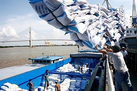 viet nam sees rice export growth in january