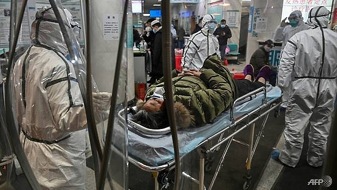china coronavirus death toll reaches 1110