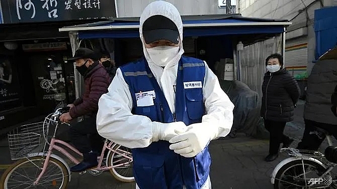 south korea reports 31 new cases of covid 19 bringing total to 82