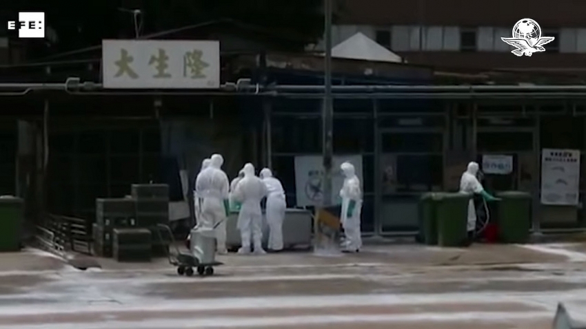 russia detects first case of h5n8 avian flu in humans