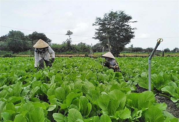 tien giang invests 650000 usd in irrigation projects along coastal districts