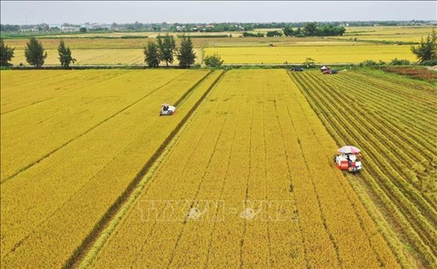 Strategy issued to boost sustainable agricultural development