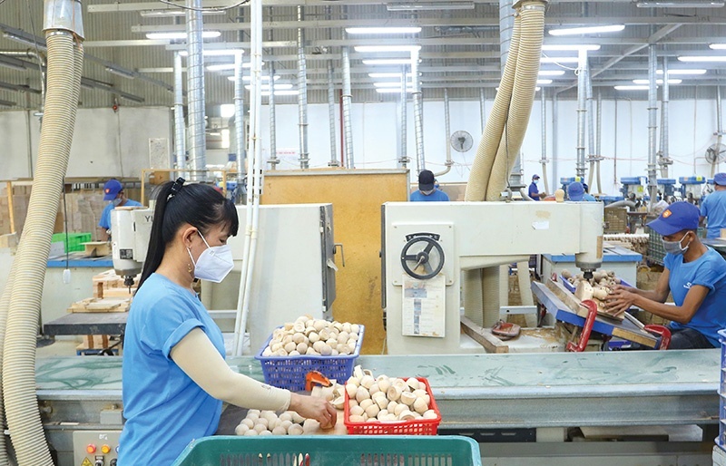 Vietnam sizes up for speedy growth