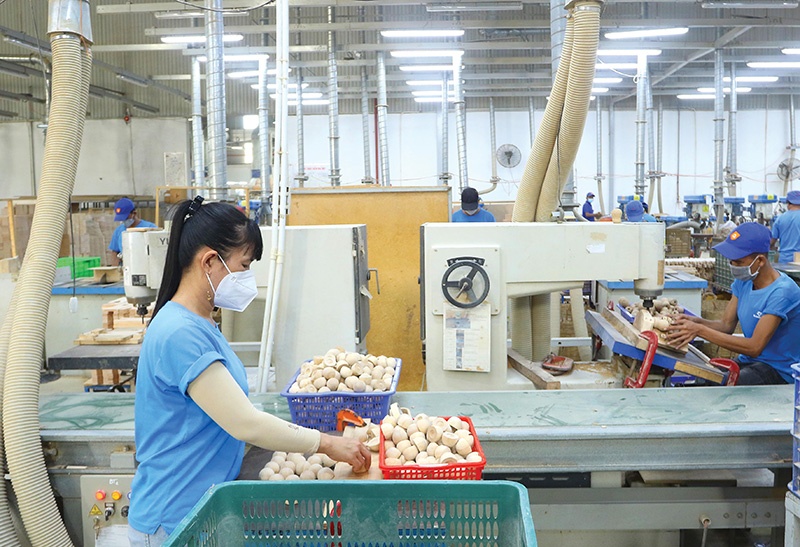 Vietnam sizes up for speedy growth