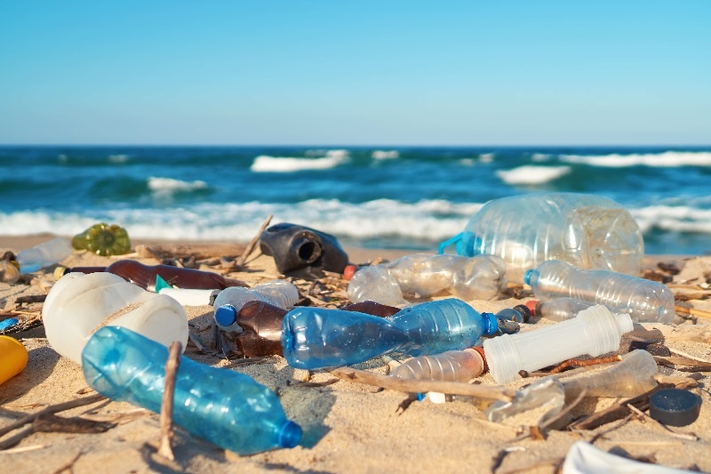 Cultural activities raise awareness of plastic battle