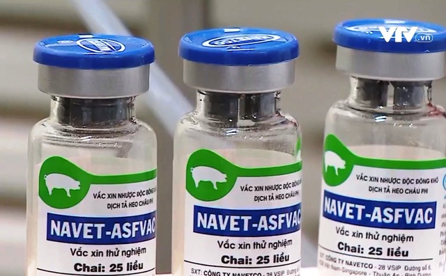 Vietnam steps closer to African swine fever vaccine