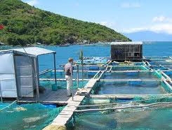 funding concerns press aquaculture chiefs