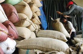 foreign firms appetite for rice exports