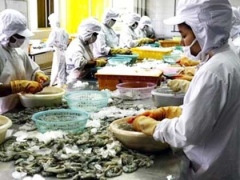 Vietnam, US hold consultations on frozen shrimp lawsuit