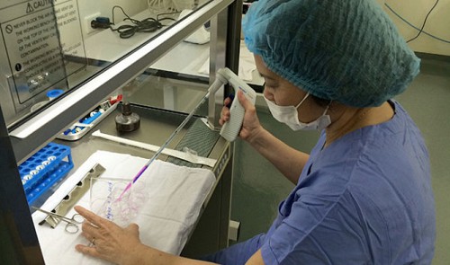 vietnamese female scientists succeed in low cost groundbreaking eye research